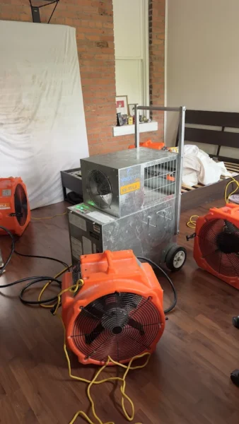 bed bug exterminator mississauga